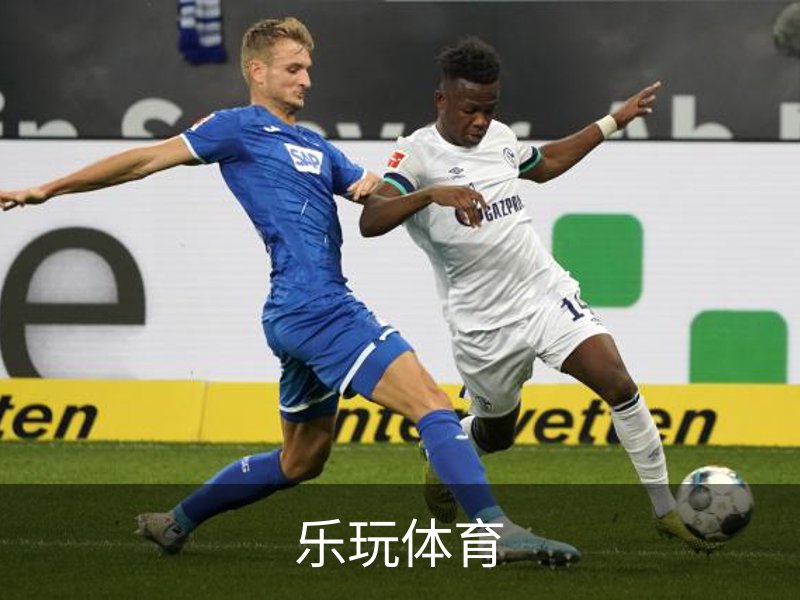 乐玩体育介绍